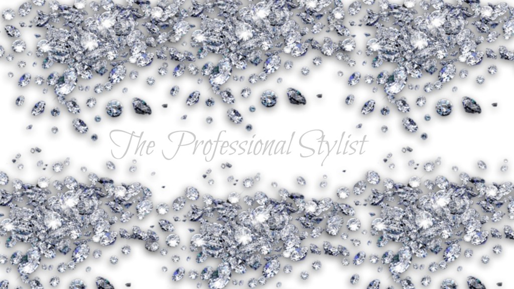 The Professional Stylist |&nbsp;Intro